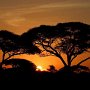 Tanzania, Serengeti at Sunrise